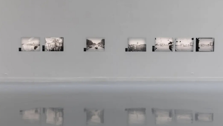 Glass Plate Negatives: Circles of Centres