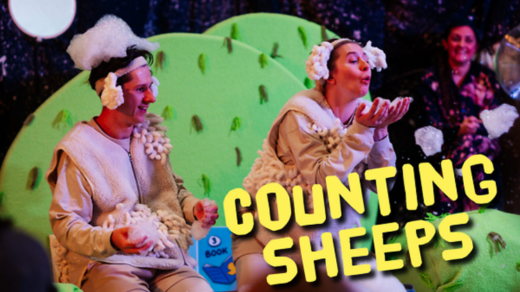 Counting Sheeps