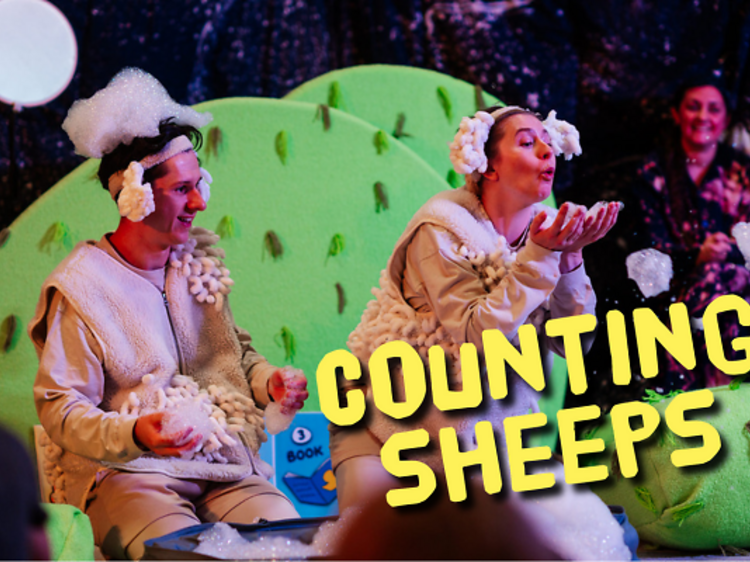 Counting Sheeps
