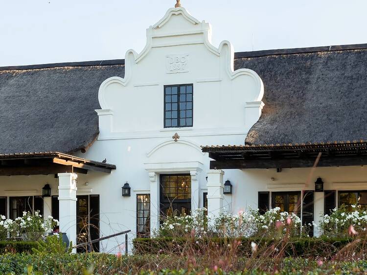 Kievits Kroon
