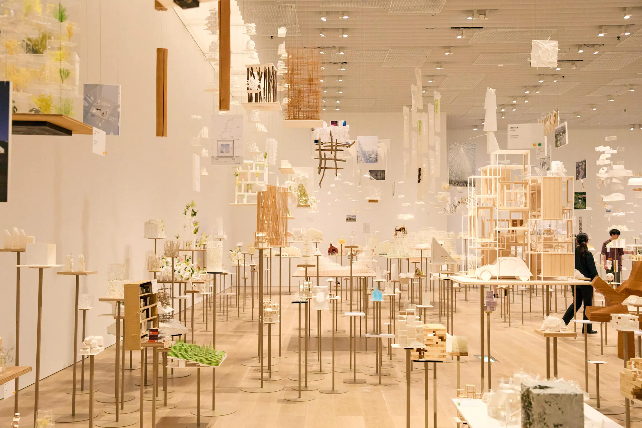 藤本壮介の建築:原初・未来・森