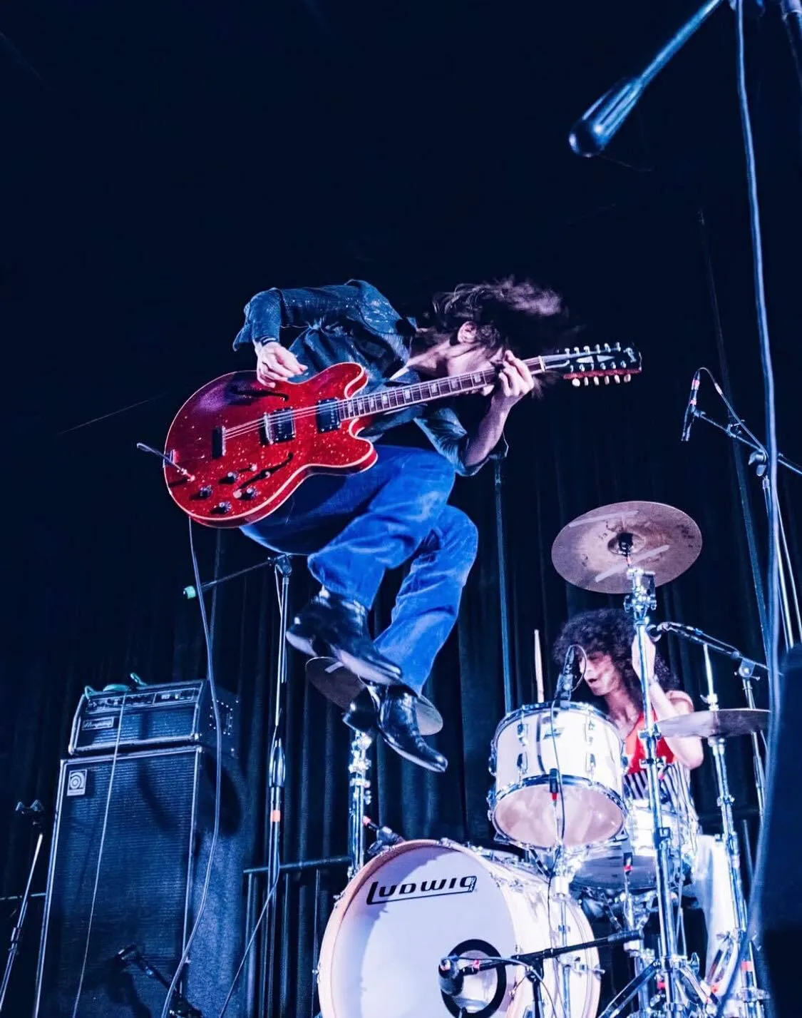 The Lemon Twigs
