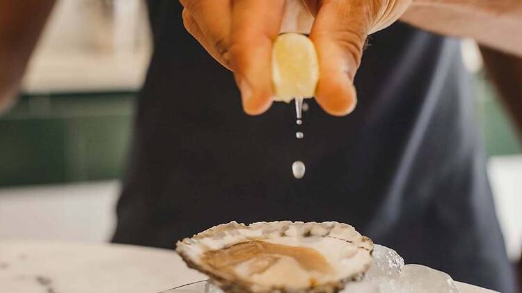 Ostra de Oysters Menorca