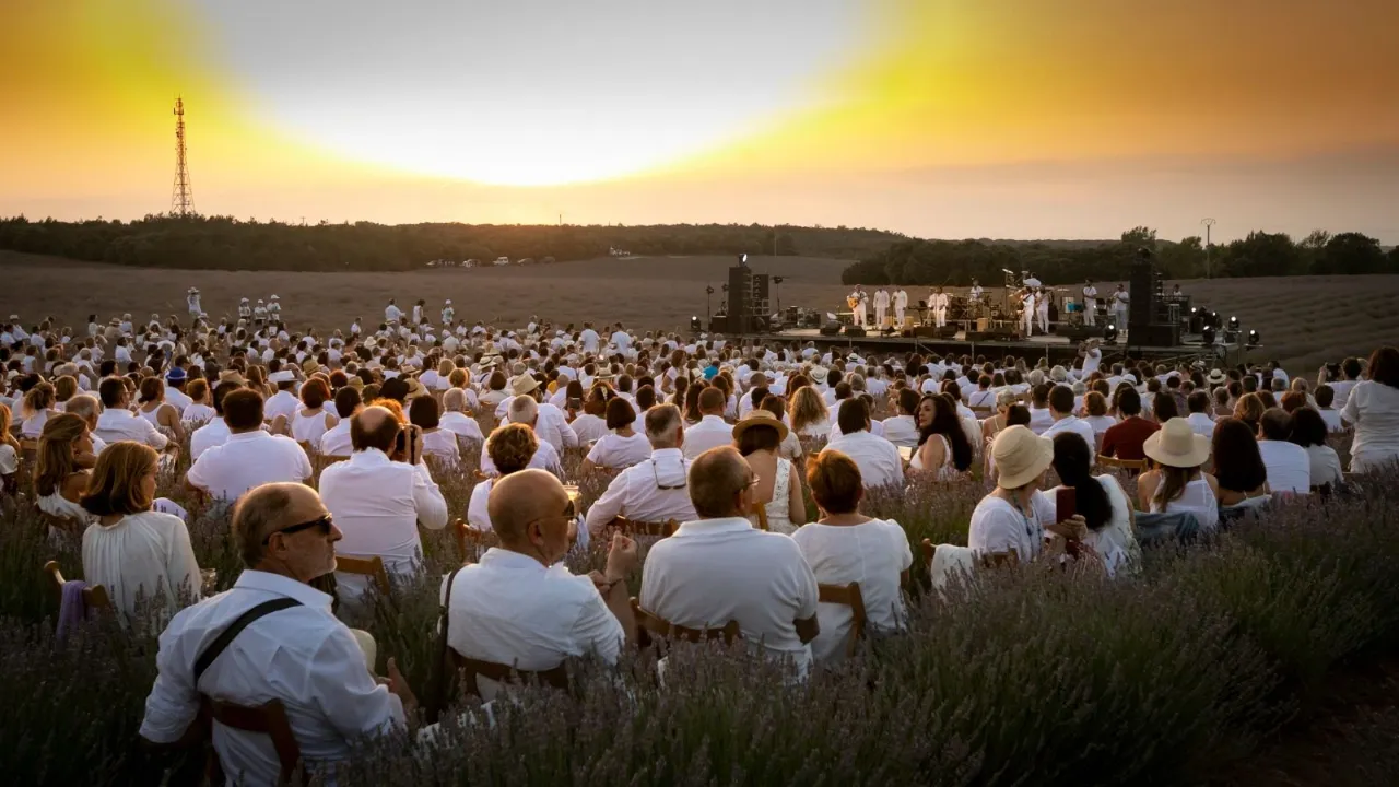 Festival de la Lavanda