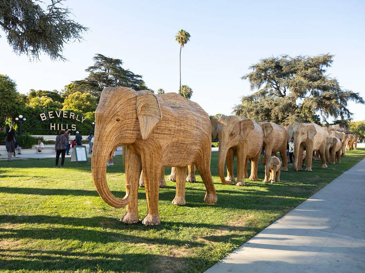 100 life-sized elephants have arrived in Los Angeles as part of a free, public exhibition