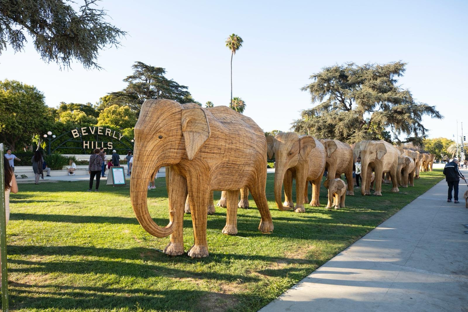 100 life-sized elephants have arrived in Los Angeles as part of a free, public exhibition