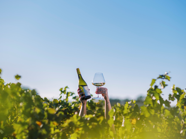 Take a luxe weekend vacay in the Orange Region and meet the makers behind some of NSW’s best produce Take a luxe weekend vacay in the Orange Region and meet the makers behind some of NSW’s best produce