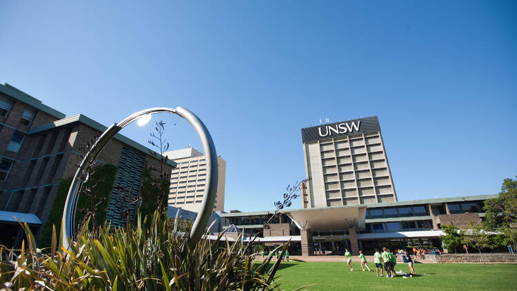 UNSW Library lawn