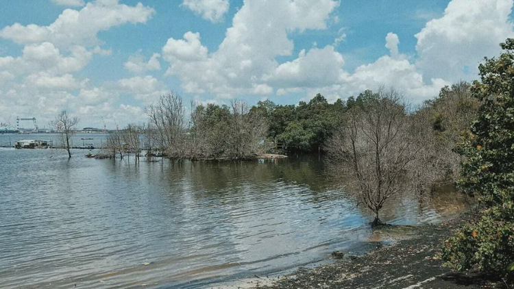 Seletar Fishing Village
