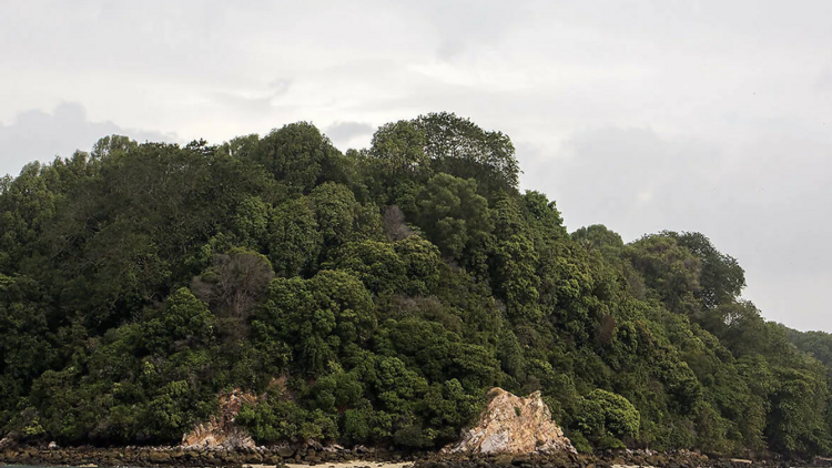 St John's Island