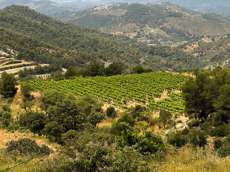 Priorat, más allá del santuario del vino Priorat, más allá del santuario del vino