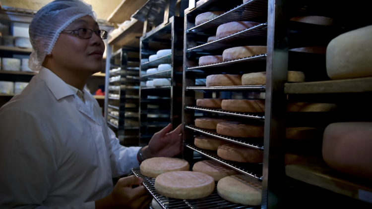 Jartisann – A symphony of cheese