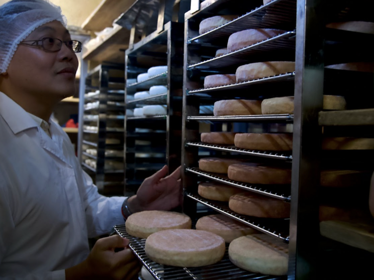 Jartisann Cheeserie