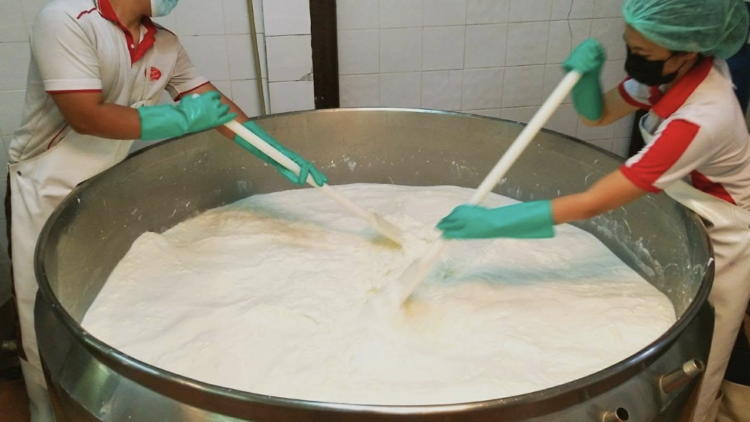 Dacheeso Home Style Cheese – The city’s original artisan cheese and dairy house