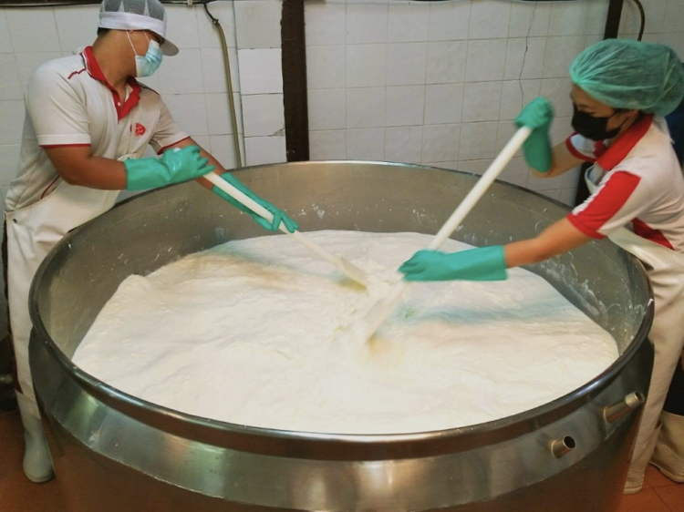 Dacheeso Home Style Cheese