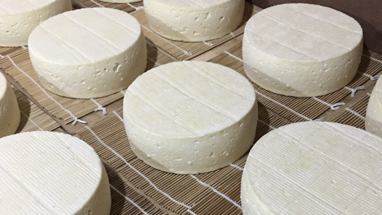 Chiang Rai Cheese – Gruyère goals in the Golden Triangle