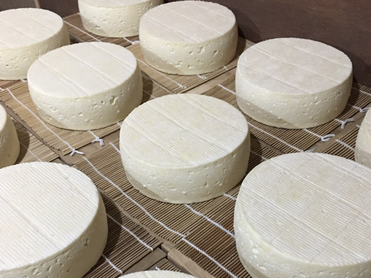 Chiang Rai Cheese