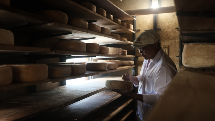 Chiang Mai’s top 5 cheesemakers