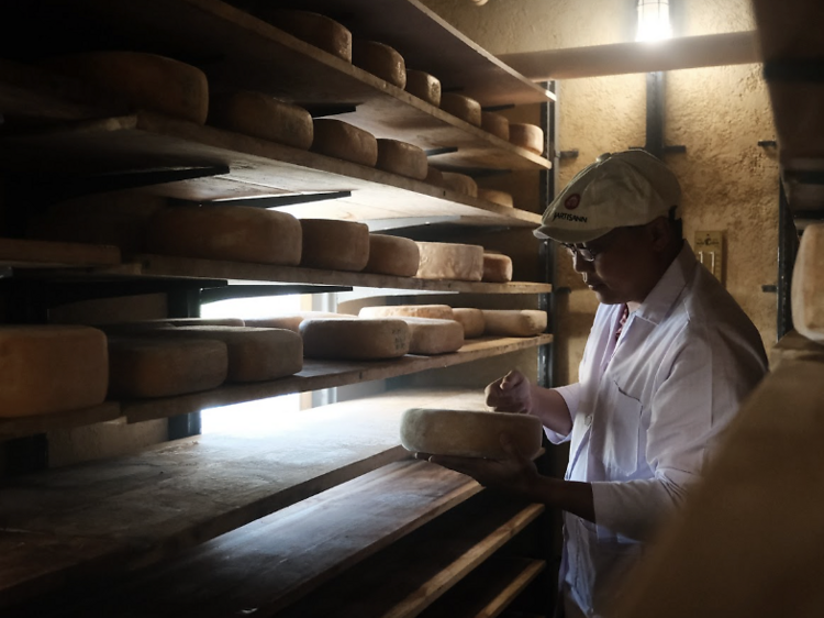 Chiang Mai’s top 5 cheesemakers