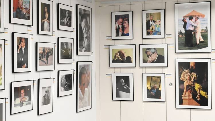 Galería Nikon. 