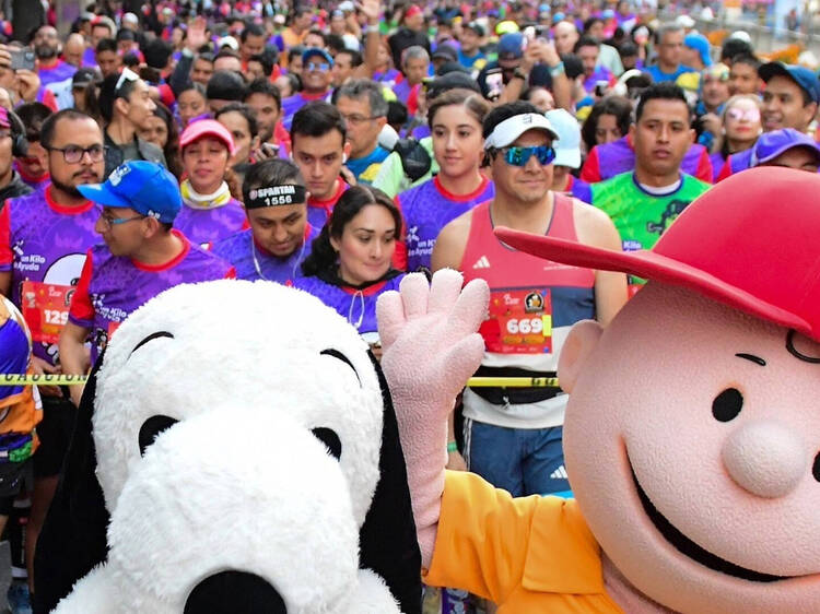 Carreras temáticas en la Ciudad de México