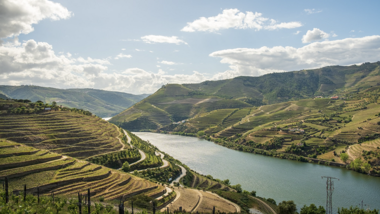 Alto Douro Vinhateiro