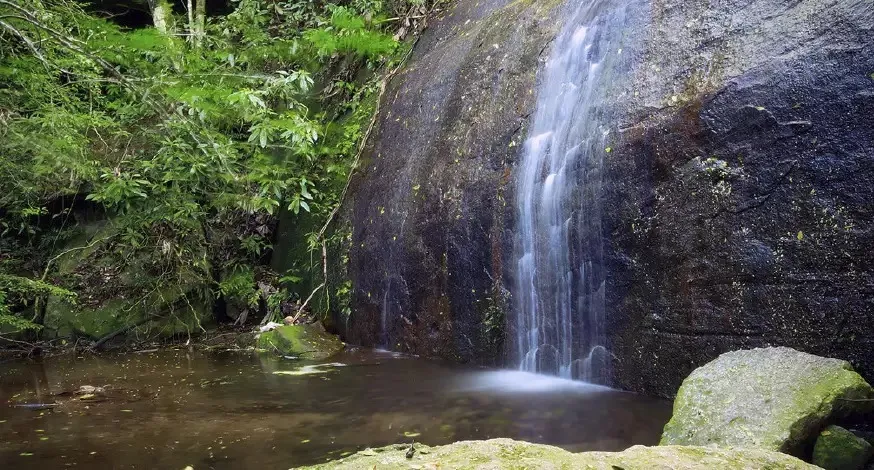 Cachoeira dos Primatas