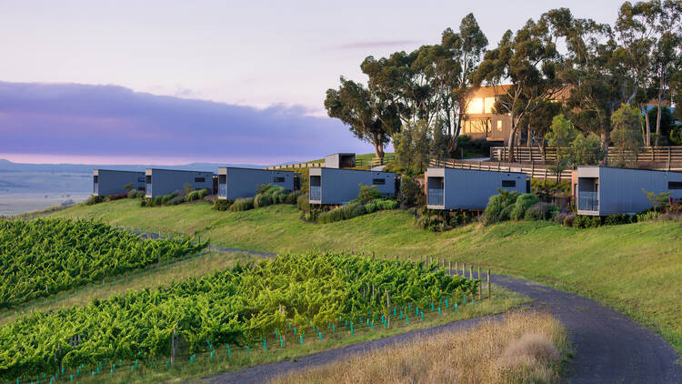 Cabins in front of vines at Marnong Estate.