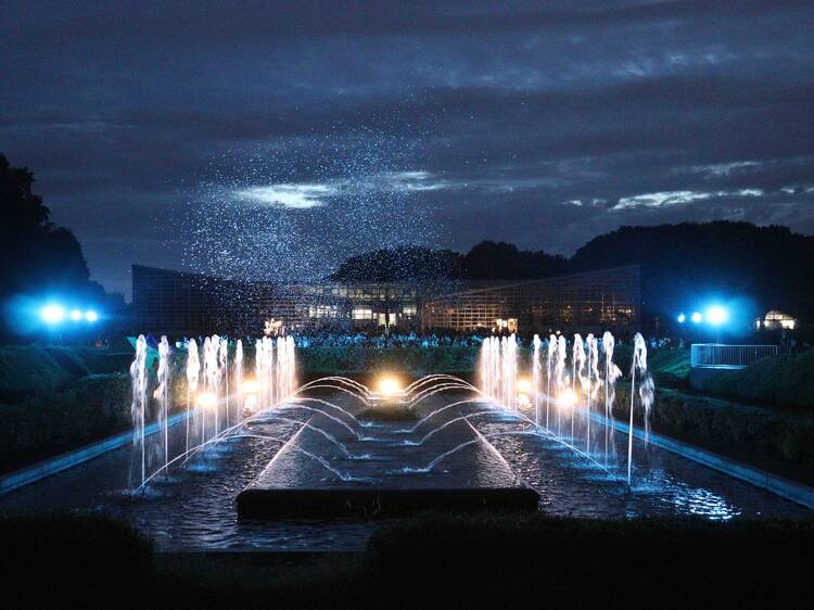一夜限りの幻の花は見逃さない。