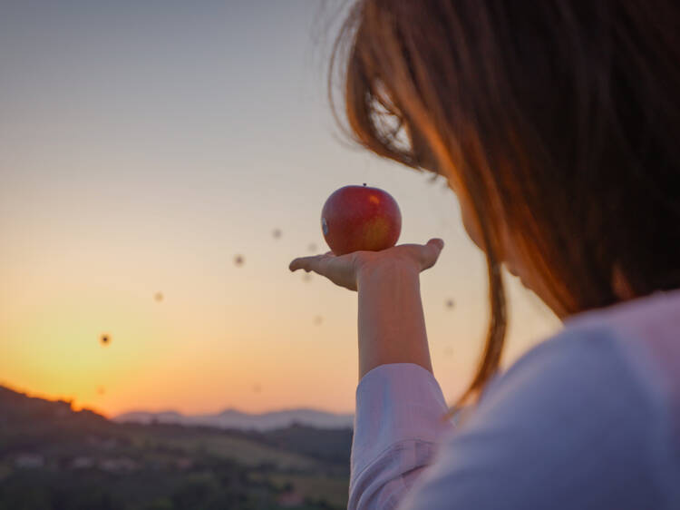 Os lo contamos todo sobre la nueva manzana que podréis saborear en Sala Montjuïc - Tres Xemeneies