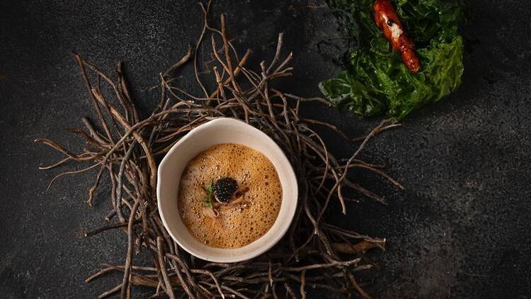 Trescha launches a new menu