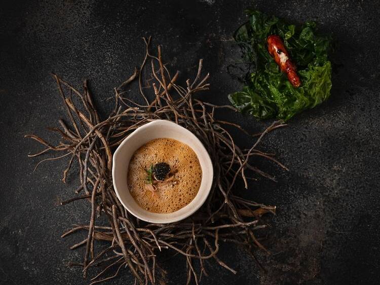 Trescha launches a new menu