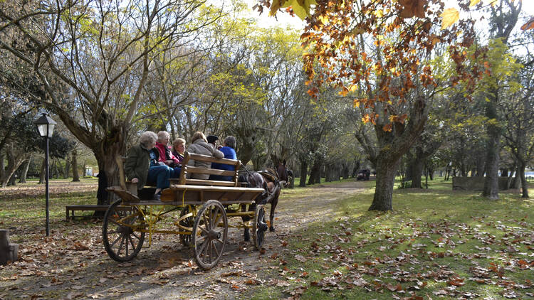 Estancia La Alameda en Chascomús para un día de campo