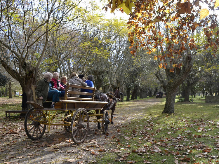 Estancia La Alameda en Chascomús para un día de campo