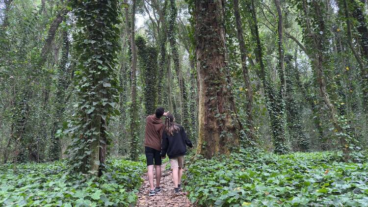 Termas, una reserva natural y una granja educativa en General Belgrano