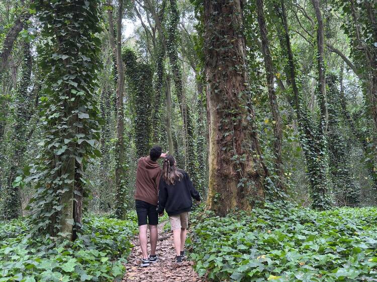 Termas, una reserva natural y una granja educativa en General Belgrano
