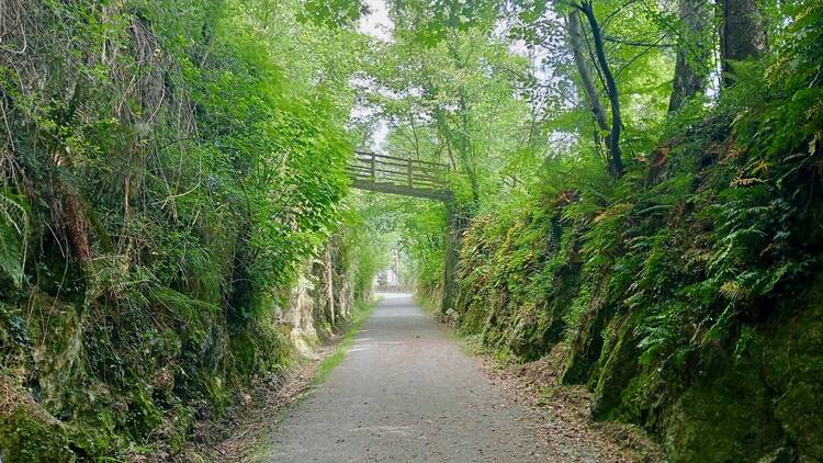 Vía Verde del Plazaola 