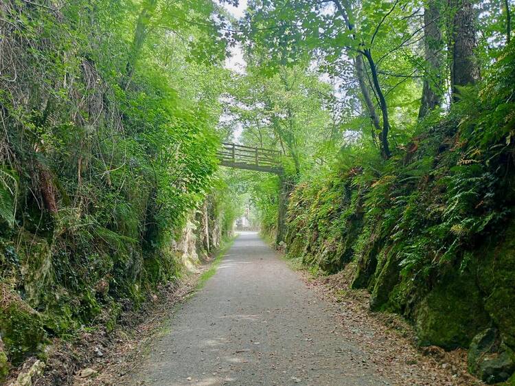 La Vía Verde del Plazaola: 50 quilómetros de cicloturismo paradisíaco por una antigua vía de tren La Vía Verde del Plazaola: 50 quilómetros de cicloturismo paradisíaco por una antigua vía de tren