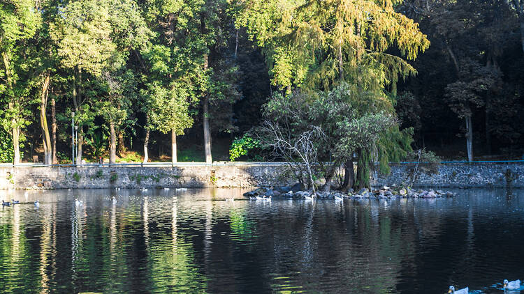 Parque Nacional Fuentes Brotantes