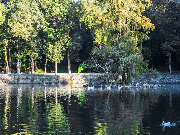 Parque Nacional Fuentes Brotantes