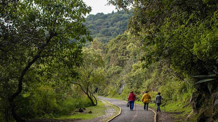 Parque Ecológico de la Ciudad de México