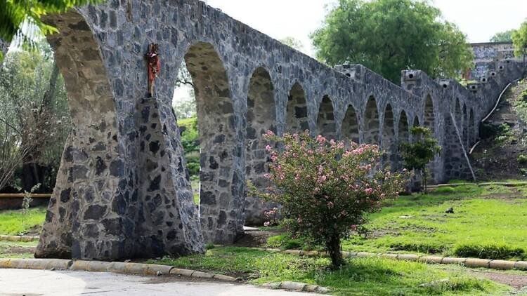 Parque Ecológico Los Olivos