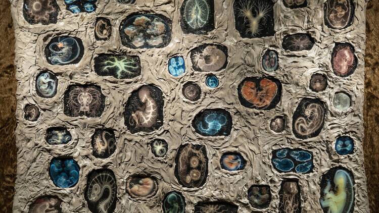 Ailsa Wong Embryo