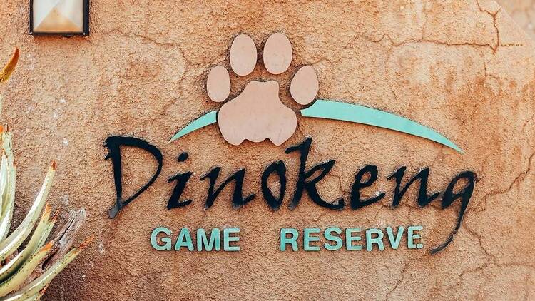 Dinokeng Game Reserve, South Africa