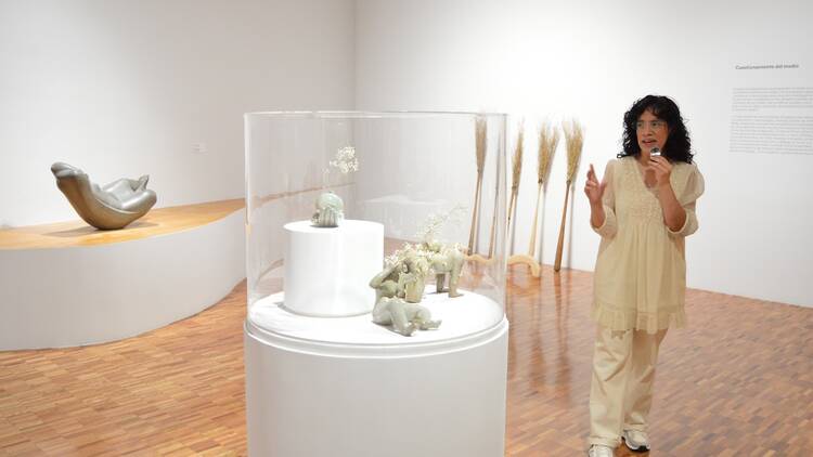 Derivas de la forma escultórica: irrupción y densidad en el Museo de Arte Moderno