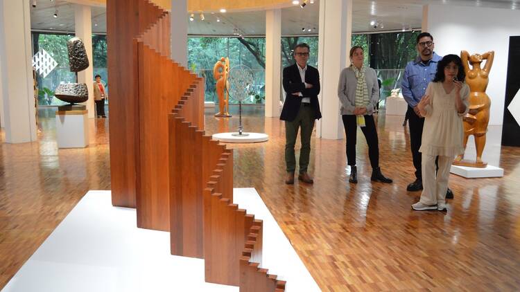 Derivas de la forma escultórica: irrupción y densidad en el Museo de Arte Moderno
