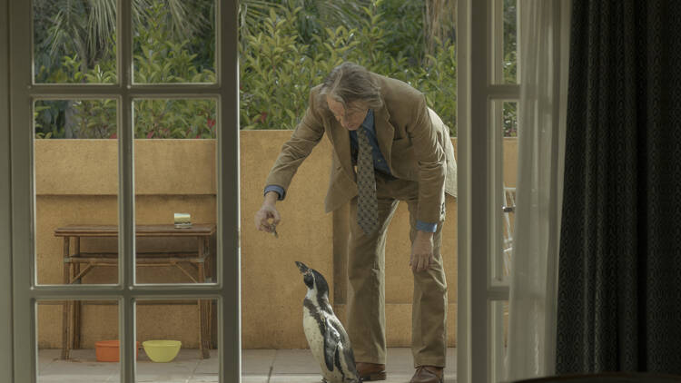Lessons from a Penguin