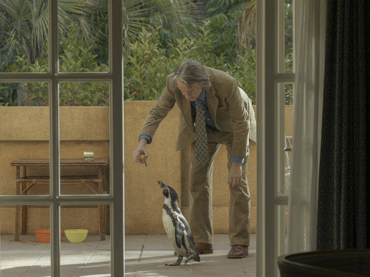 Lessons from a Penguin