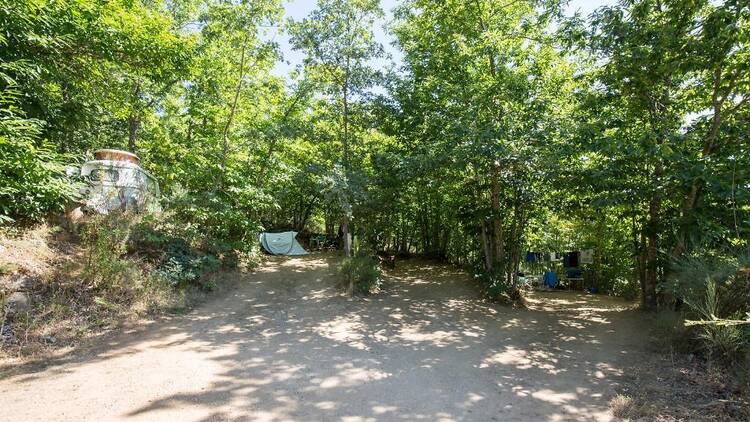 Cepo Verde Camping