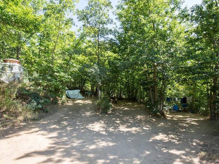 Cepo Verde Camping